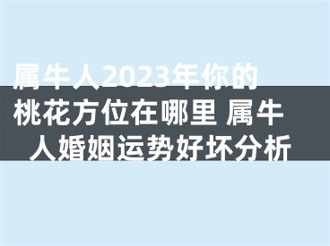 属牛人2023年你的桃花方位在哪里 属牛人婚姻运势好坏分析