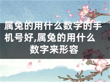 属兔的用什么数字的手机号好,属兔的用什么数字来形容