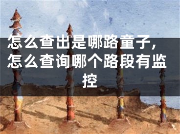 怎么查出是哪路童子,怎么查询哪个路段有监控