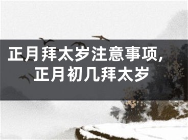 正月拜太岁注意事项,正月初几拜太岁