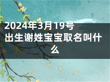 2024年3月19号出生谢姓宝宝取名叫什么