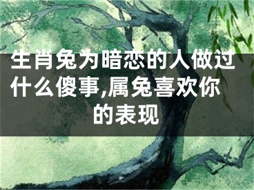 生肖兔为暗恋的人做过什么傻事,属兔喜欢你的表现