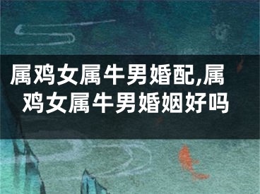 属鸡女属牛男婚配,属鸡女属牛男婚姻好吗