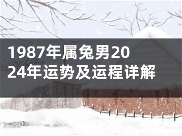 1987年属兔男2024年运势及运程详解