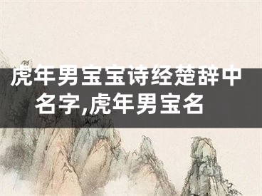 虎年男宝宝诗经楚辞中名字,虎年男宝名
