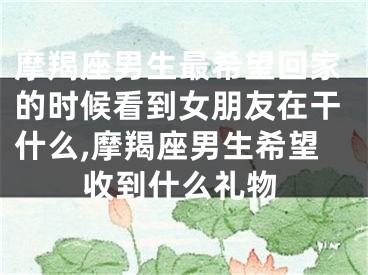 摩羯座男生最希望回家的时候看到女朋友在干什么,摩羯座男生希望收到什么礼物
