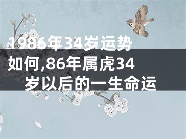 1986年34岁运势如何,86年属虎34岁以后的一生命运