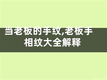 当老板的手纹,老板手相纹大全解释