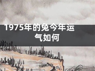 1975年的兔今年运气如何