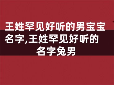 王姓罕见好听的男宝宝名字,王姓罕见好听的名字兔男