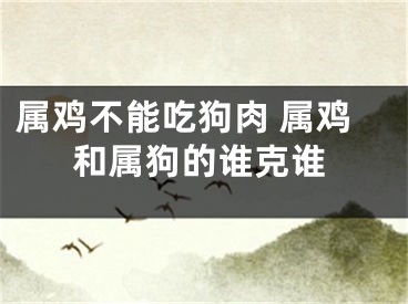 属鸡不能吃狗肉 属鸡和属狗的谁克谁