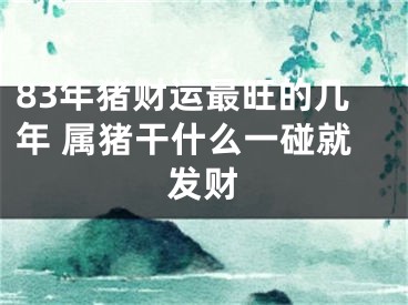 83年猪财运最旺的几年 属猪干什么一碰就发财
