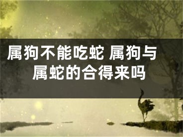 属狗不能吃蛇 属狗与属蛇的合得来吗