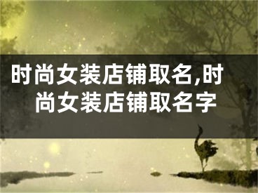 时尚女装店铺取名,时尚女装店铺取名字