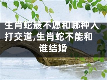 生肖蛇最不愿和哪种人打交道,生肖蛇不能和谁结婚