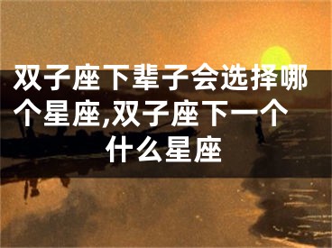 双子座下辈子会选择哪个星座,双子座下一个什么星座
