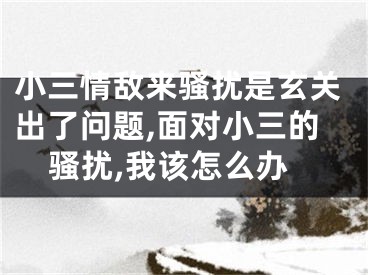 小三情敌来骚扰是玄关出了问题,面对小三的骚扰,我该怎么办