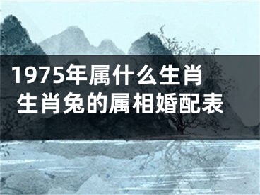 1975年属什么生肖 生肖兔的属相婚配表