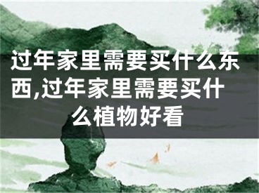 过年家里需要买什么东西,过年家里需要买什么植物好看
