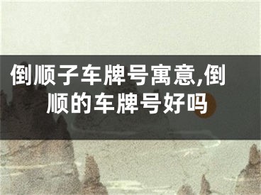 倒顺子车牌号寓意,倒顺的车牌号好吗