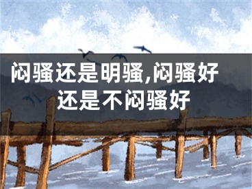 闷骚还是明骚,闷骚好还是不闷骚好