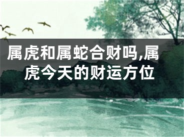 属虎和属蛇合财吗,属虎今天的财运方位