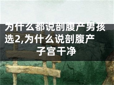 为什么都说剖腹产男孩选2,为什么说剖腹产子宫干净