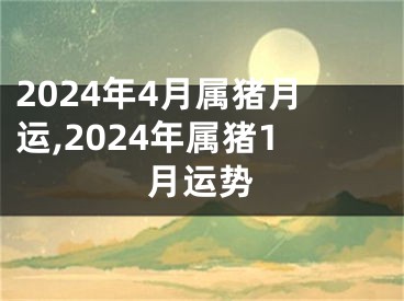 2024年4月属猪月运,2024年属猪1月运势