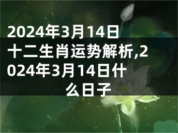 2024年3月14日十二生肖运势解析,2024年3月14日什么日子