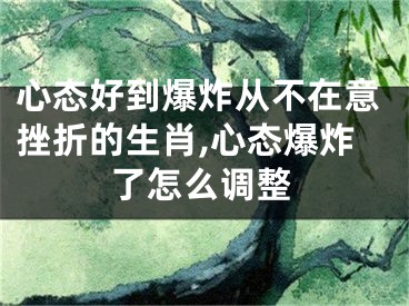 心态好到爆炸从不在意挫折的生肖,心态爆炸了怎么调整