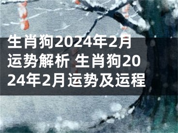 生肖狗2024年2月运势解析 生肖狗2024年2月运势及运程
