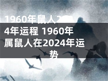 1960年鼠人2024年运程 1960年属鼠人在2024年运势