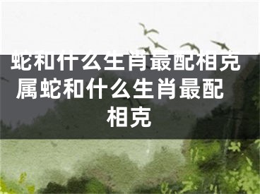 蛇和什么生肖最配相克 属蛇和什么生肖最配相克