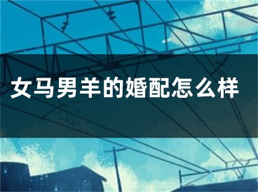 女马男羊的婚配怎么样