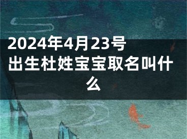 2024年4月23号出生杜姓宝宝取名叫什么