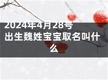 2024年4月28号出生魏姓宝宝取名叫什么