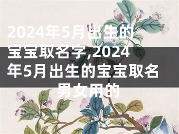 2024年5月出生的宝宝取名字,2024年5月出生的宝宝取名男女用的