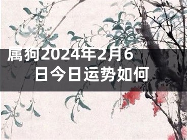 属狗2024年2月6日今日运势如何