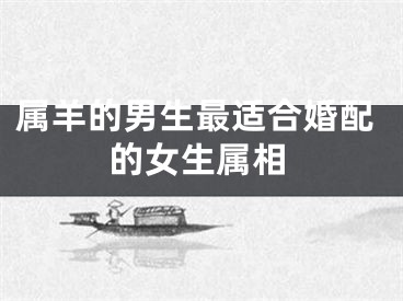 属羊的男生最适合婚配的女生属相