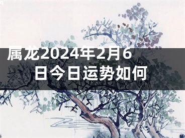属龙2024年2月6日今日运势如何