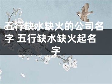 五行缺水缺火的公司名字 五行缺水缺火起名字