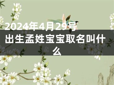 2024年4月29号出生孟姓宝宝取名叫什么