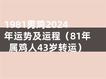 1981男鸡2024年运势及运程（81年属鸡人43岁转运）