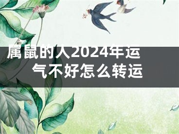 属鼠的人2024年运气不好怎么转运