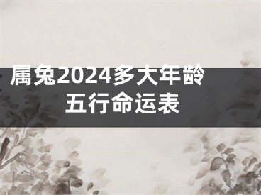 属兔2024多大年龄 五行命运表