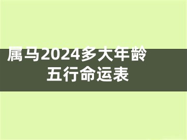 属马2024多大年龄 五行命运表