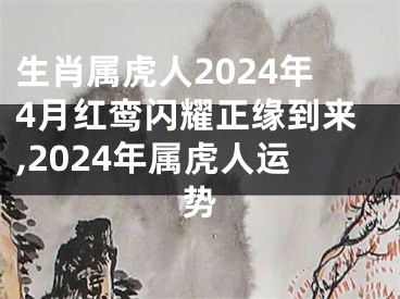 生肖属虎人2024年4月红鸾闪耀正缘到来,2024年属虎人运势