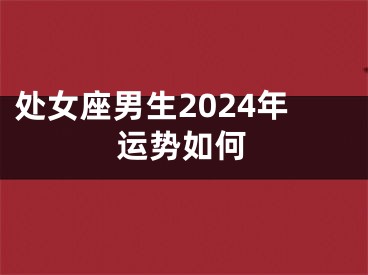 处女座男生2024年运势如何