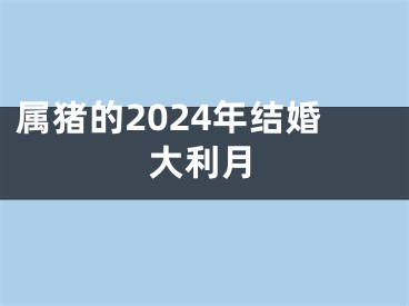 属猪的2024年结婚大利月
