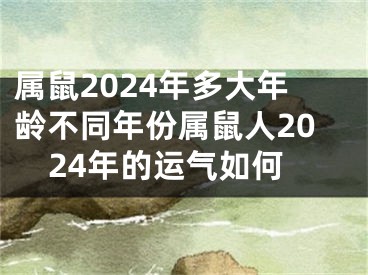 属鼠2024年多大年龄不同年份属鼠人2024年的运气如何